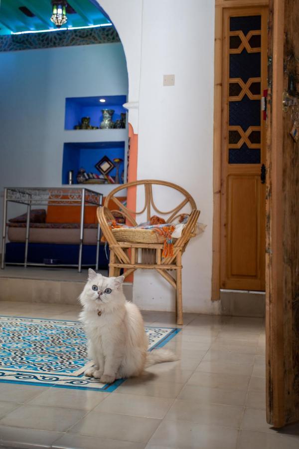 צ'פצ'אוונה Hotel Casa Miguel מראה חיצוני תמונה
